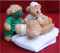 startseitenteddy